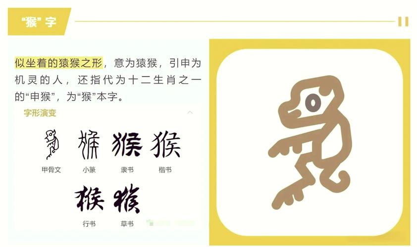 新字打一生肖动物,新字对应生肖